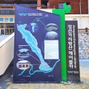 착한카프라자 이미지