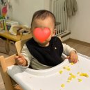 짝짝꿍 | D+300 | 10개월 아기 발달과정 후기 이유식, 자기 주도 이유식, 짝짝꿍, 하이파이브, 집게손, 아랫니 두...