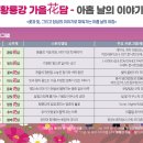 행복한 꽃 이미지