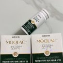 모발 유산균 국내 원재료 사용 갱년기 탈모 관리에 효과적인 모큐락플러스 후기