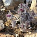 산솔펜션 이미지