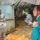 울산광역시 야생동물구조관리센터 이미지