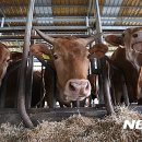 지연2농장 이미지