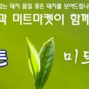 태진푸드 이미지