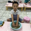 자연愛향기