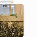 웨딩촬영ㅣ루미에스튜디오 촬영 후기 및 꿀팁