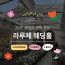 잠실나루역 1,2번출구사이 | W5. [홀투어] 서울 밝은 웨딩홀 추천, 명동 라루체 웨딩 솔직 상담 방문 상세 후기(계약X)