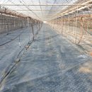 홍이농장 이미지