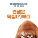 마이펫의 이중생활 이미지