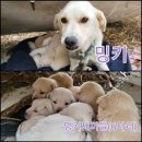 장항농장 이미지