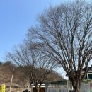 굴지강변로 이미지