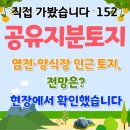 10 | '충남 서산시 대산읍 기은리'공유지분토지 임장
