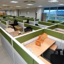 문제조사무소 이미지