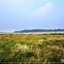 제주돌문화공원 이미지