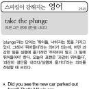 take the plunge(오랜 고민 끝에 결단을 내리다) 이미지