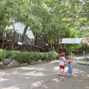자연나라 | 수영장바베큐부터 아이와함께 즐길 수 있는 자연나라숲속여가마을
