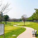 용평리조트 대중골프장 | 용평파크골프장 예약 전화번호 위치 운영시간 휴장일 요금