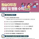 엠폭스(Mpox) 원숭이두창 전염 감염 경로 증상 치료법 <b>국내</b> <b>발생</b><b>현황</b>과 대응