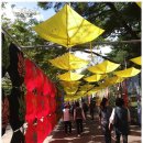 김해행정사 이미지