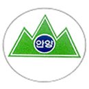 안양초등학교1 이미지