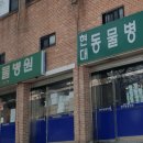 테오종합동물병원