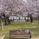 선진공원 주차장 | 경남 여행 벚꽃 명소 사천 선진리성 벚꽃축제 다녀온 후기 - 주차장 축제일정 먹거리