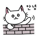 신기동짬뽕 이미지