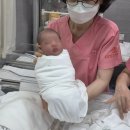 더뺌의원 | 송파고은빛 정다와쌤 제왕절개 후기, 입원 날짜별 타임라인, 추천 1인실 호수(긴글주의, 꿀팁 포함)