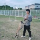 더블유펫 테마파크 이미지