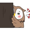 썸머네즈