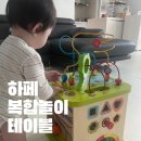 장난감: <b>하페</b> 복합놀이 테이블 돌아기 장난감 추천
