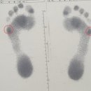 굿피트 코리아 제1사업본부 이미지