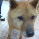 서교초교 이미지