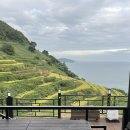 트인바다라메종 이미지