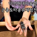 어린이 샌드아트 명화체험전 | 추석 어린이 무료체험 다산현대아울렛 곤충&amp;파충류 체험전