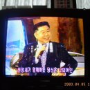 라이브연정