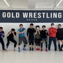 골드 레슬링 부산 이미지