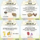 6월 서울축제 노원수제맥주축제 (다이나믹듀오 공연, 필수준비물!)