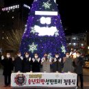 메디컬트리 이미지