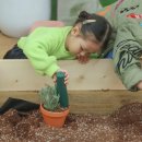 신상농장 이미지