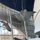 비버어린이집 | 아쿠아리움 일산 아쿠아플라넷 주말 방문 입장료 할인ㅣ 체험 공연 시간