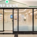 용문조아동물병원 이미지