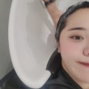 히피스트