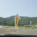 청도레일바이크 | 청도 레일바이크 후기 : 남자여, 땀흘릴 준비가 되었는가.