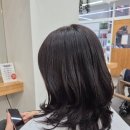 일산로636번길 이미지