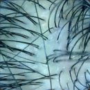 문형산길 | 분당 두피관리 남다른 실력 뽐내는 신현동 헤드스파 후기