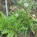 가서농장 이미지