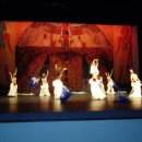 벨리댄스 이미지