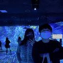 미디어앤아트 이미지