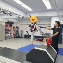 MVP태권도장 이미지